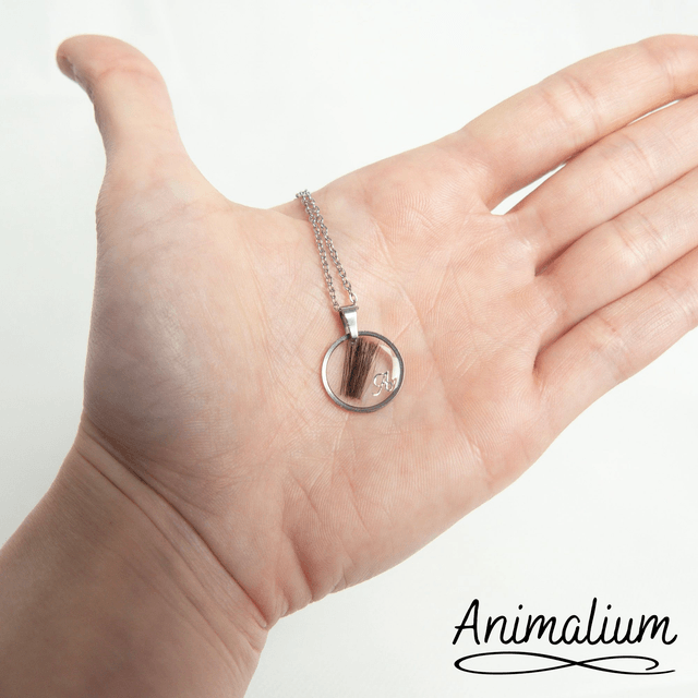 Collier cercle plat poils 