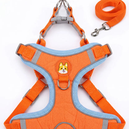 2 Pack Adjustable Pet Harness & Leash Set, Soft Suede Vest, Durable & Reflective, No-Tangle Leash for Easy Walking, Ideal for Daily Walks & Night Outdoor Use